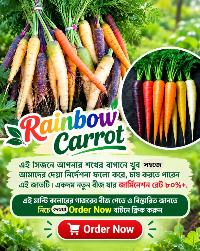 Rainbow Carrot-এর বীজের ইন্টেক প্যাকেট [ প্রতিটি প্যাকে বীজ সংখ্যা ৪০০০+, ১ শতাংশ জমি / ৪ থেকে ৫ টি ফলের ক্যারেট এ চাষযোগ্য ]